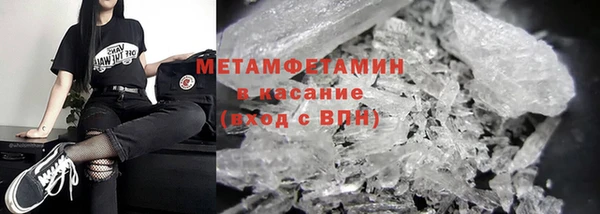 шишки Ельня