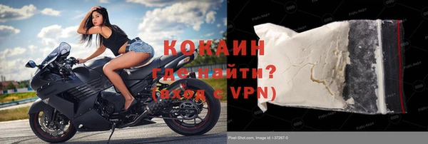 шишки Ельня