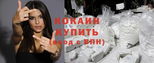шишки Ельня