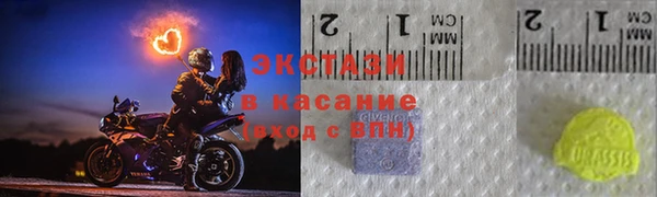 шишки Ельня
