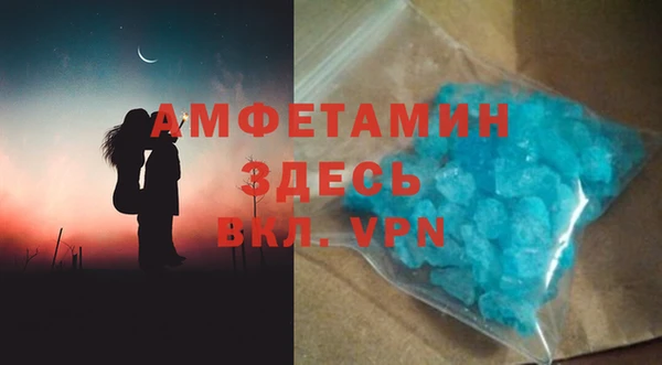 шишки Ельня