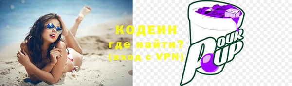 шишки Ельня