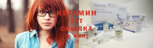 шишки Ельня