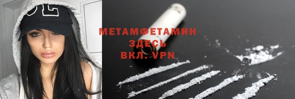 шишки Ельня