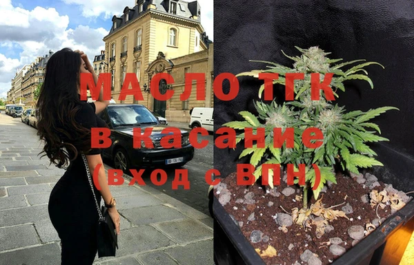 шишки Ельня