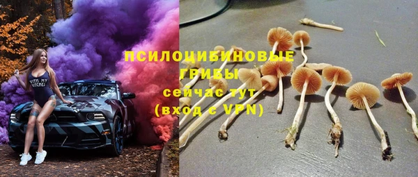 шишки Ельня
