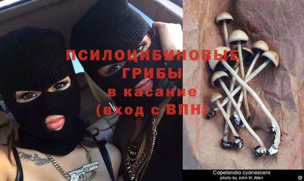 бошки Шарыпово