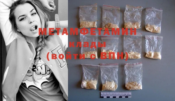 шишки Ельня