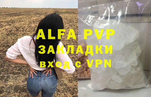 шишки Ельня