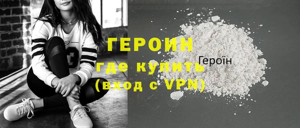 шишки Ельня