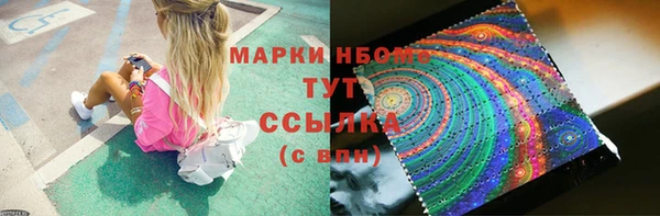 шишки Ельня