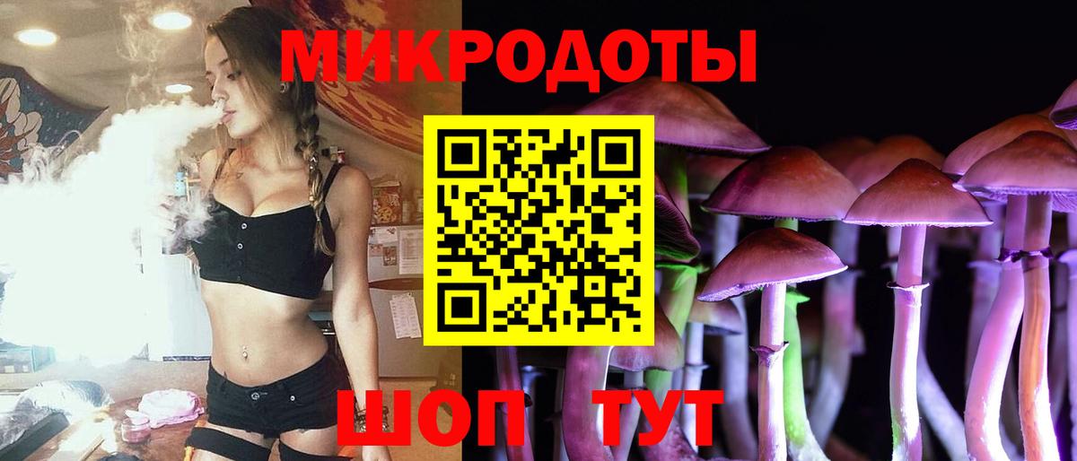 Псилоцибиновые грибы GOLDEN TEACHER Губкин