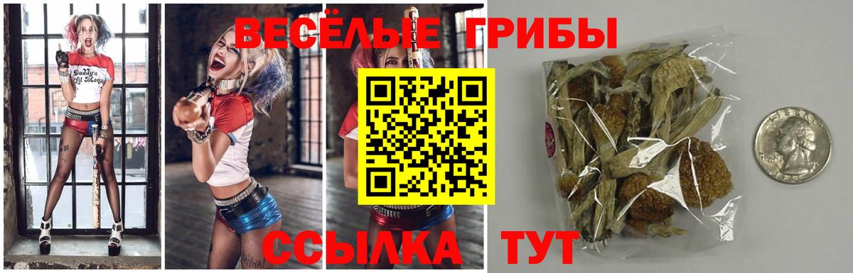Псилоцибиновые грибы GOLDEN TEACHER  Вход с VPN  Губкин  Псилоцибиновые грибы Psilocybine cubensis 