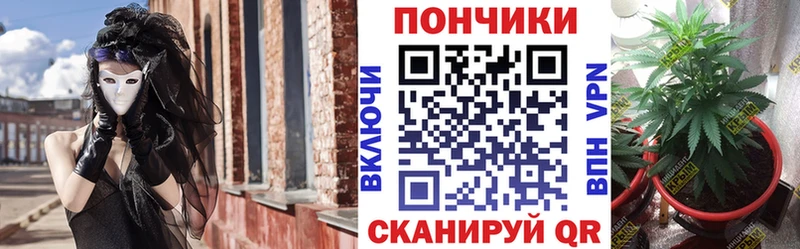 kraken онион  Губкин  Конопля Amnesia 